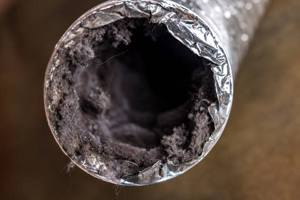 Best Home Air Vent Cleaning  in Leisure Village, NJ