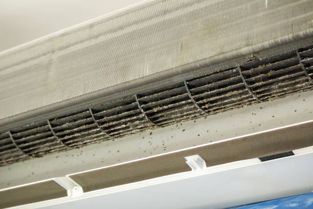 Best Air Duct Cleaning Near Me  in Leisure Village, NJ